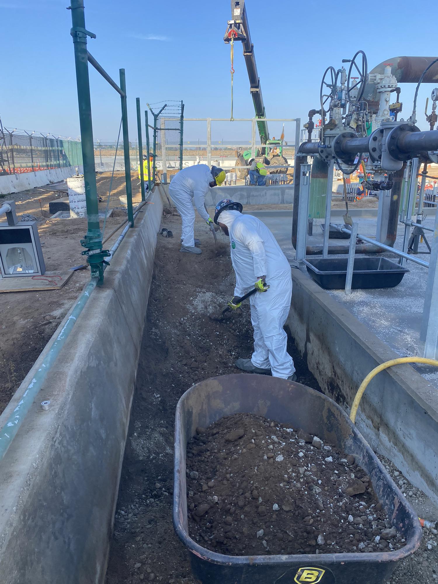 contaminated soil