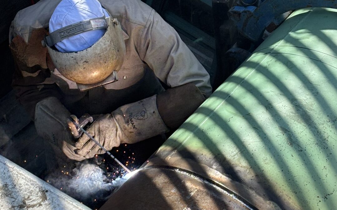 Week Ending 3/1/2026