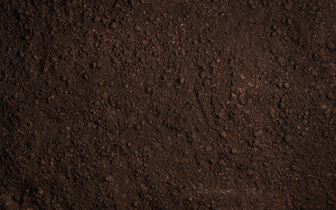 Placerville Bundle