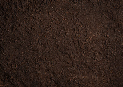 Placerville Bundle